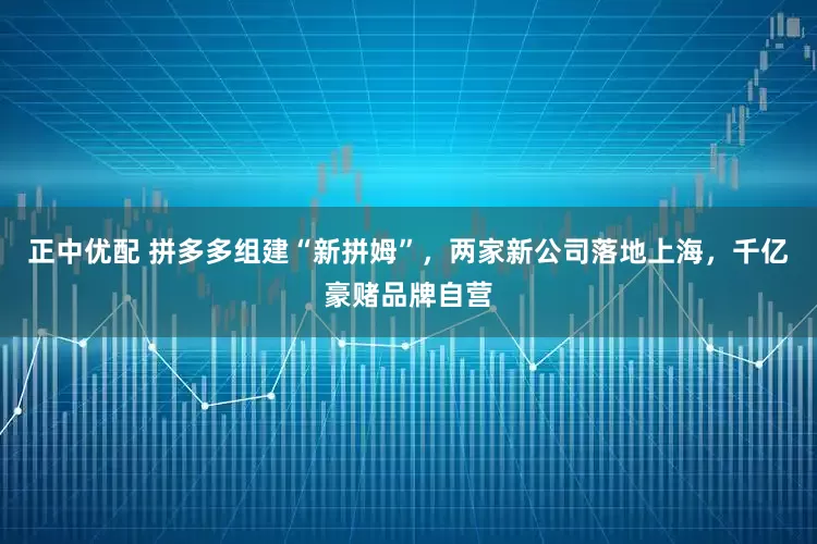 正中优配 拼多多组建“新拼姆”，两家新公司落地上海，千亿豪赌品牌自营